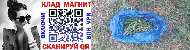 Виды наркотиков купить Питкяранта Псилоцибиновые грибы  СК  Меф мяу мяу  ГАШИШ  Амфетамин 