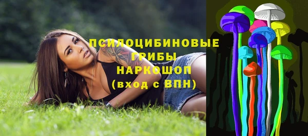 МДПВ Абинск