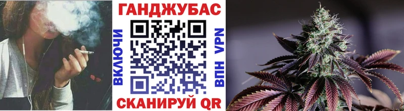 наркотики  Питкяранта  Канабис сатива 